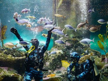 National Aquarium of New Zealand