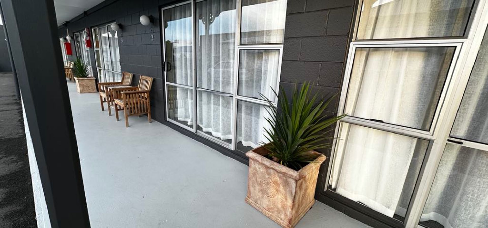 Napier accommodation