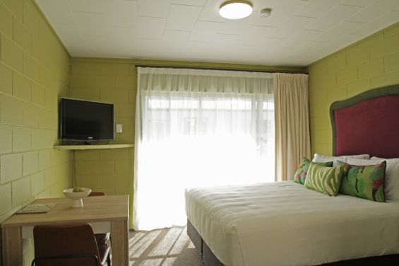 Cacti Unit - bed and TV